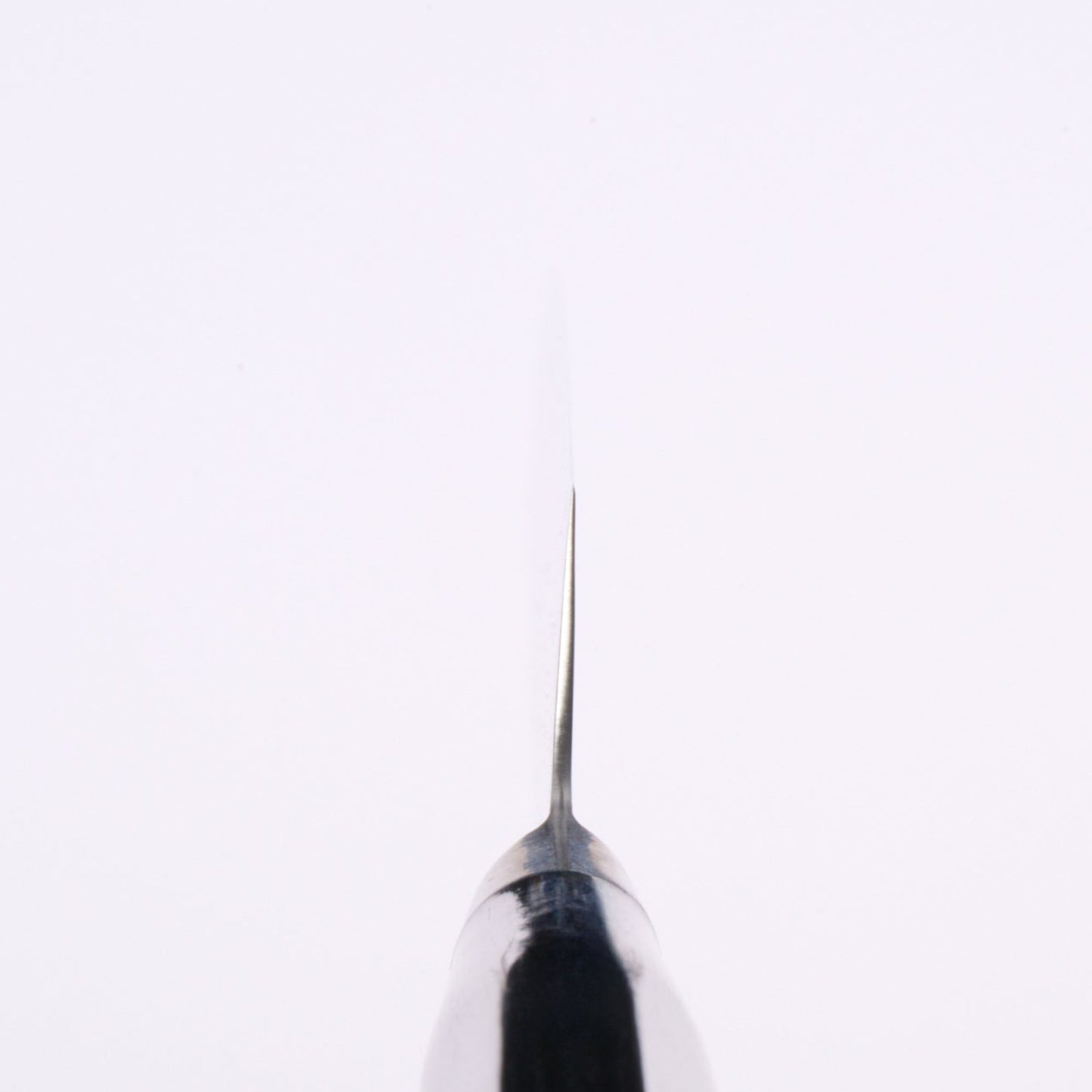 堺孝行|グランドシェフ青海波|筋引包丁|240mm