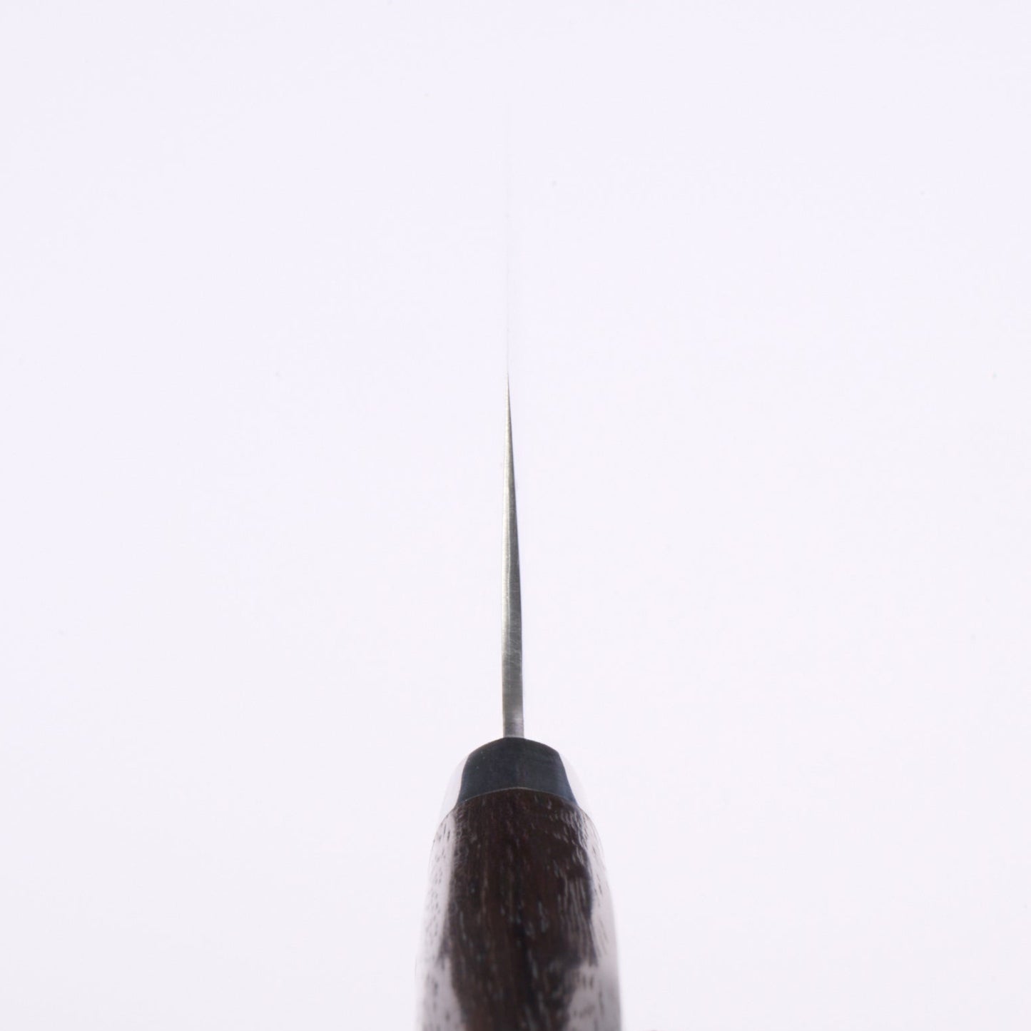 堺孝行|SPG2|剣型牛刀|190mm