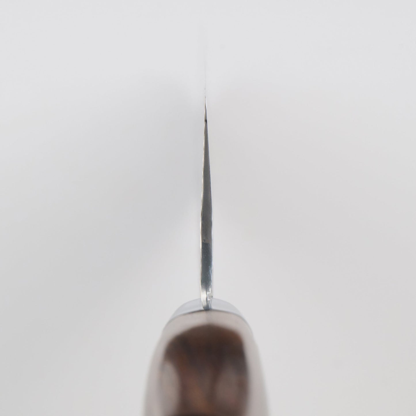 Takayuki Sakai | 33-Layer Hammered Damascus Sugihara Model | Gyuto | 210mm | Desert Ironwood