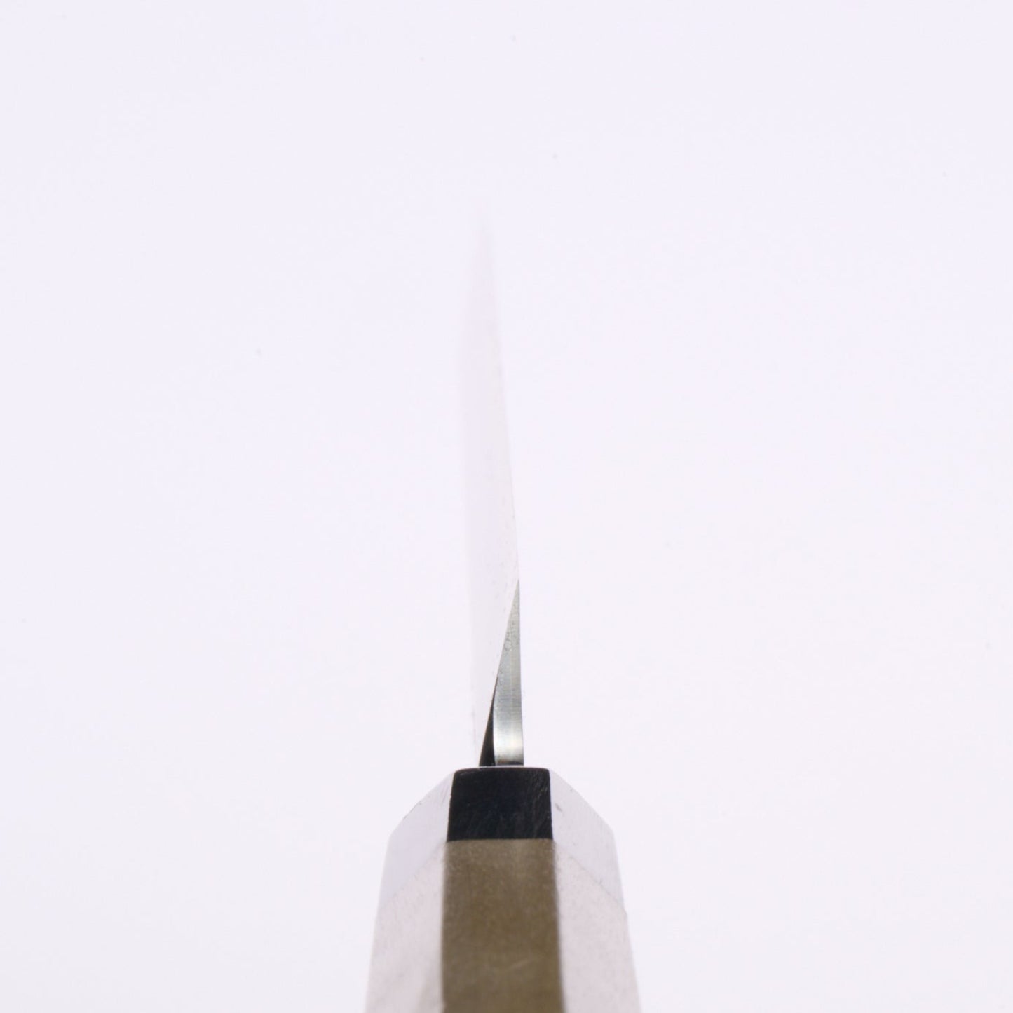 Takayuki Sakai | Chef's Japanese Knife | Shobu (Sashimi Knife) | 300mm