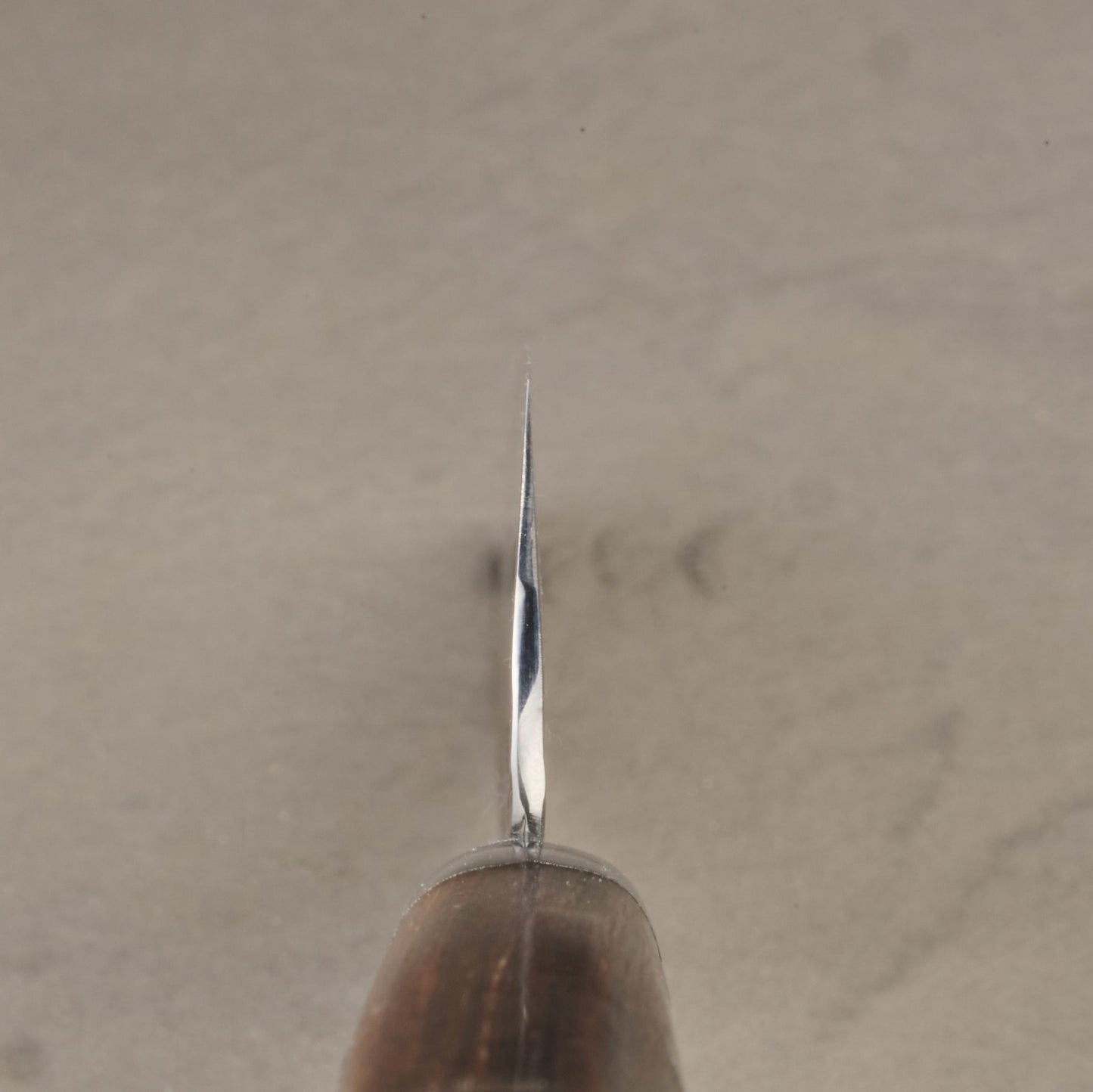 Sakai Takayuki | 33-Layer Hammered Damascus | Gyuto | 180mm | Mahogany