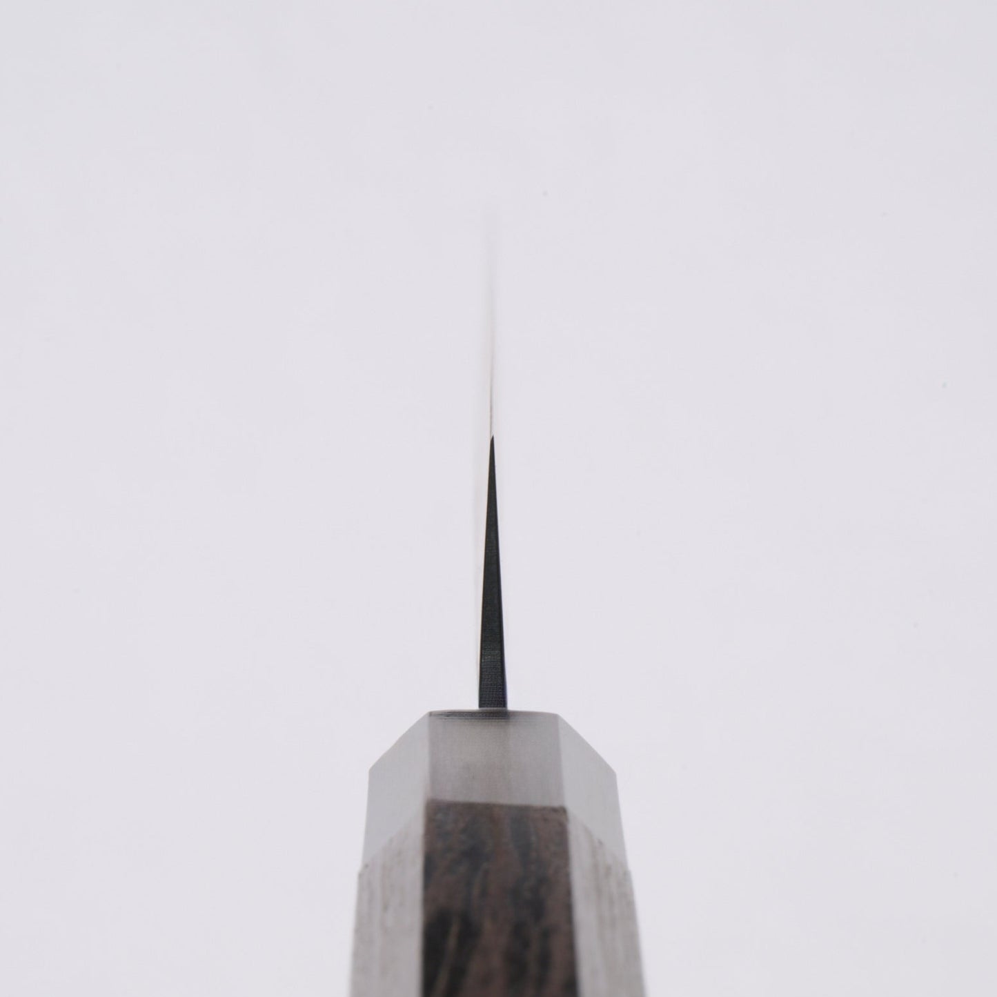 Sakai Takayuki | Kurokage | Japanese Sujihiki Knife | 240mm | Wenge Buffalo