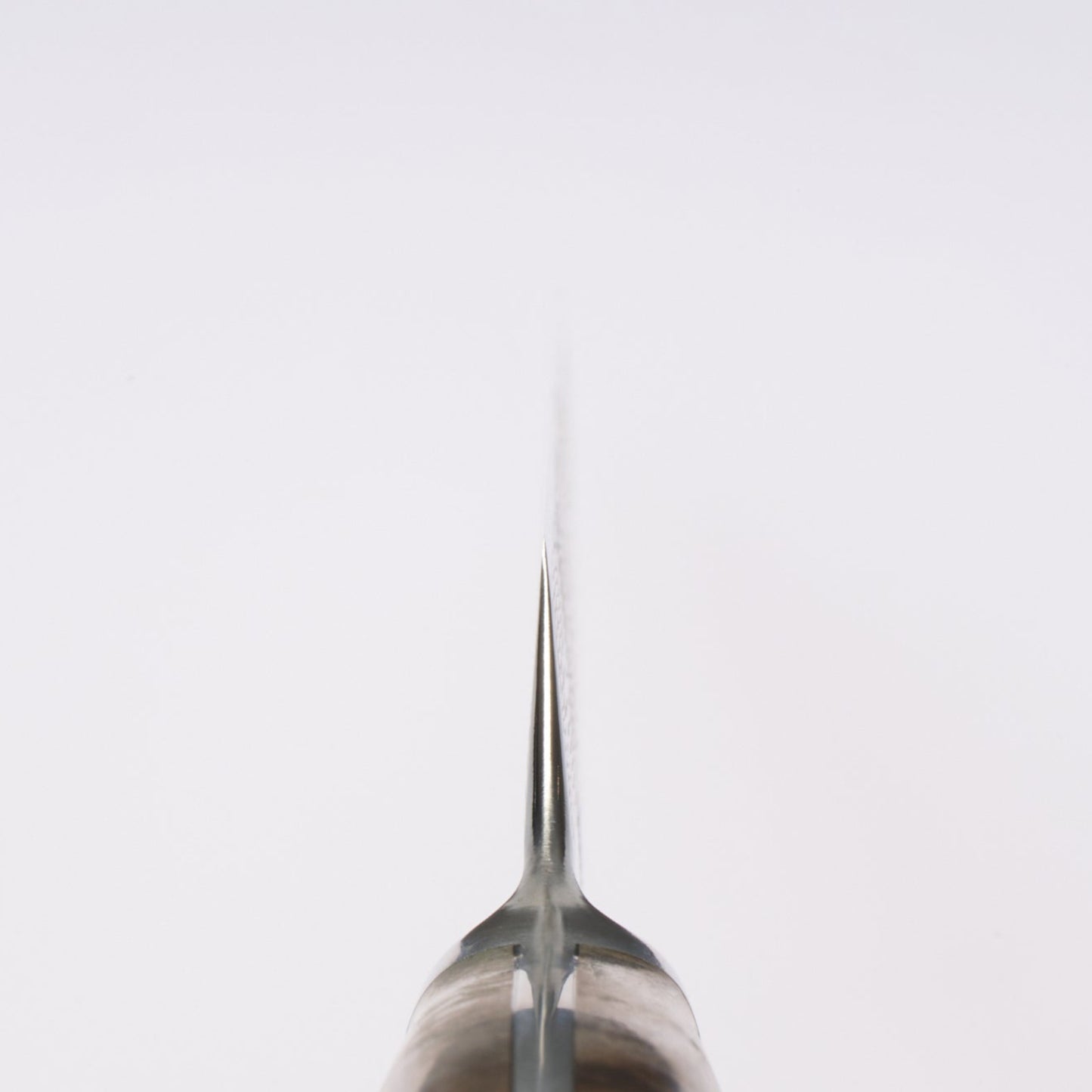 Enkyu | Atsumori | Santoku Knife | 180mm | Karin Knot