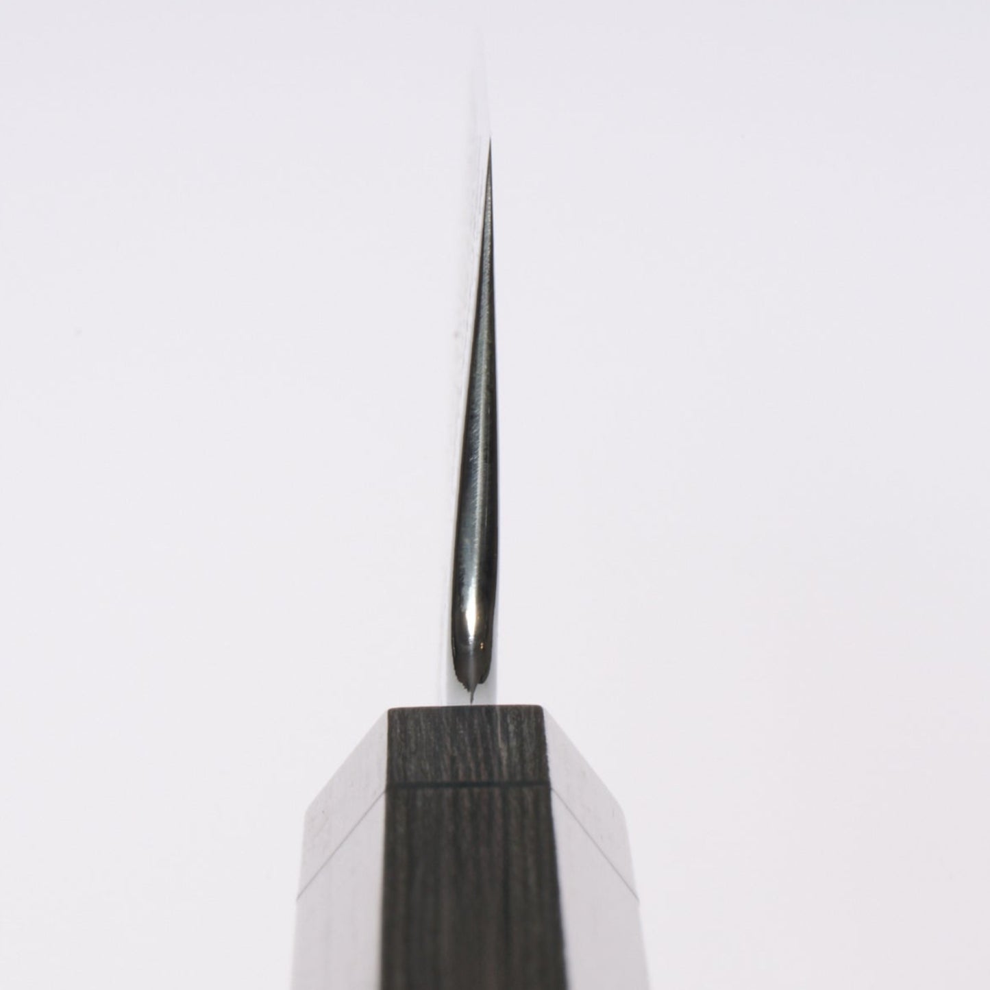 Enkyu | Homuragumo | Gyuto | 210mm | Gray Plywood