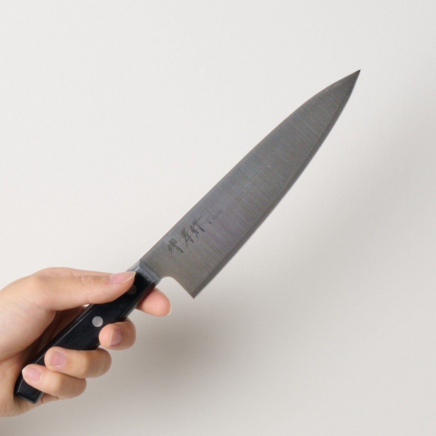 Sakai Takayuki | Sumire | Chef's knife（Gyuto） | 180mm