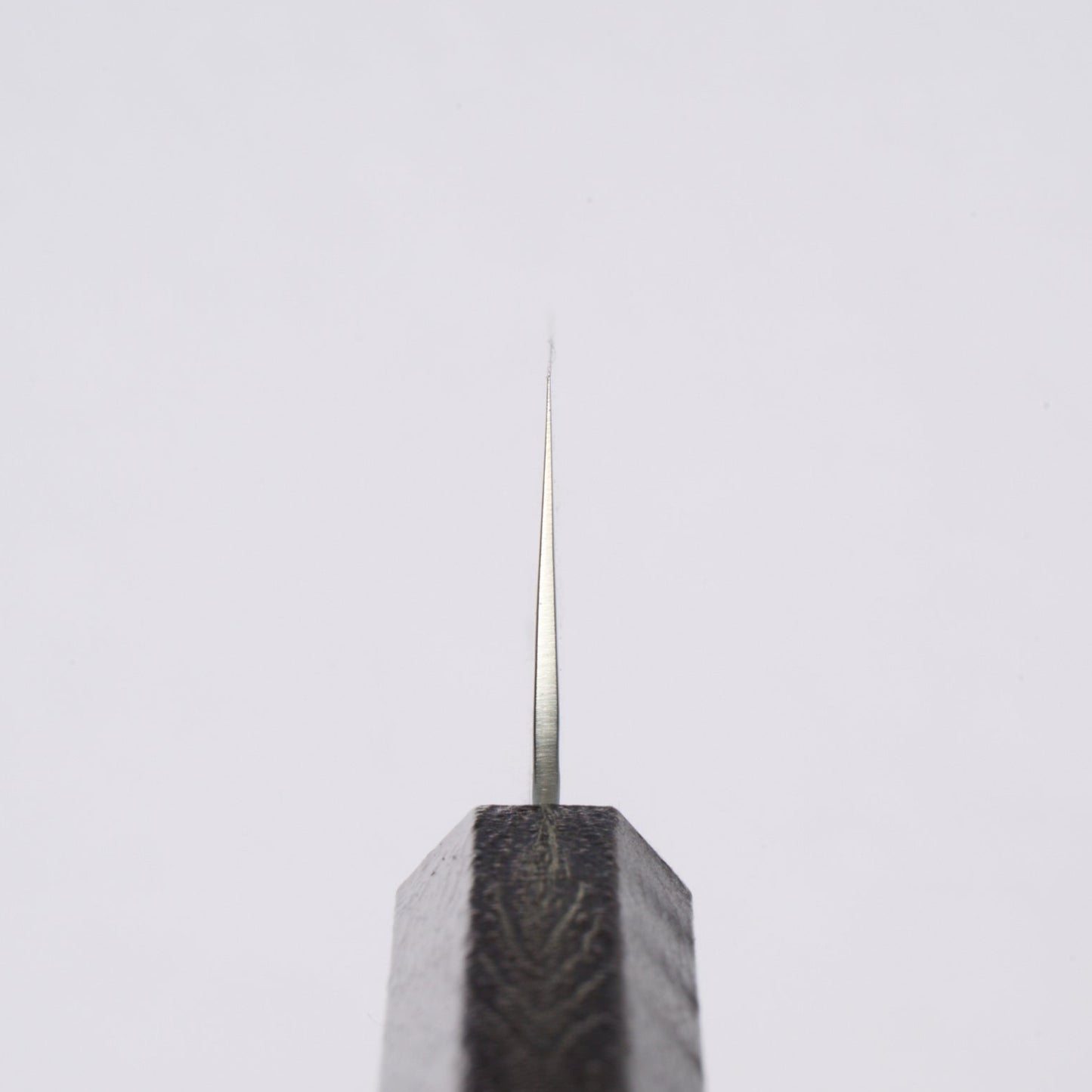 堺孝行｜なないろ｜剣型牛刀｜190mm｜溜べっ甲