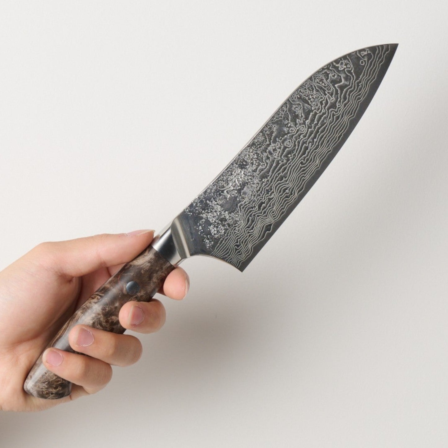 Enkyu | Atsumori | Santoku Knife | 180mm | Karin Knot