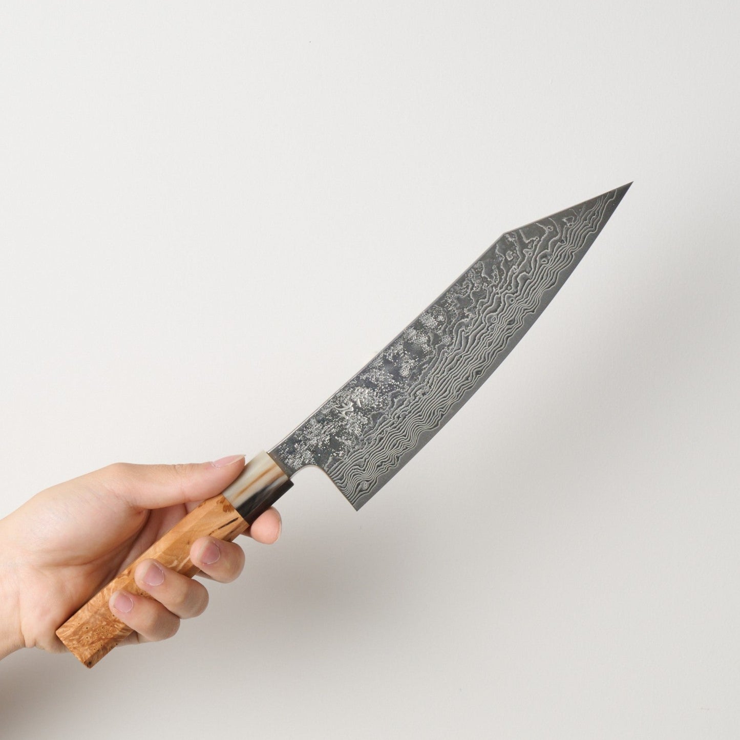 Enkyu ｜Homuragumo｜Gyuto｜210mm｜Karin-kun