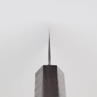 Sakai Takayuki | Nanairo | Gyuto | 210mm | Tortoiseshell