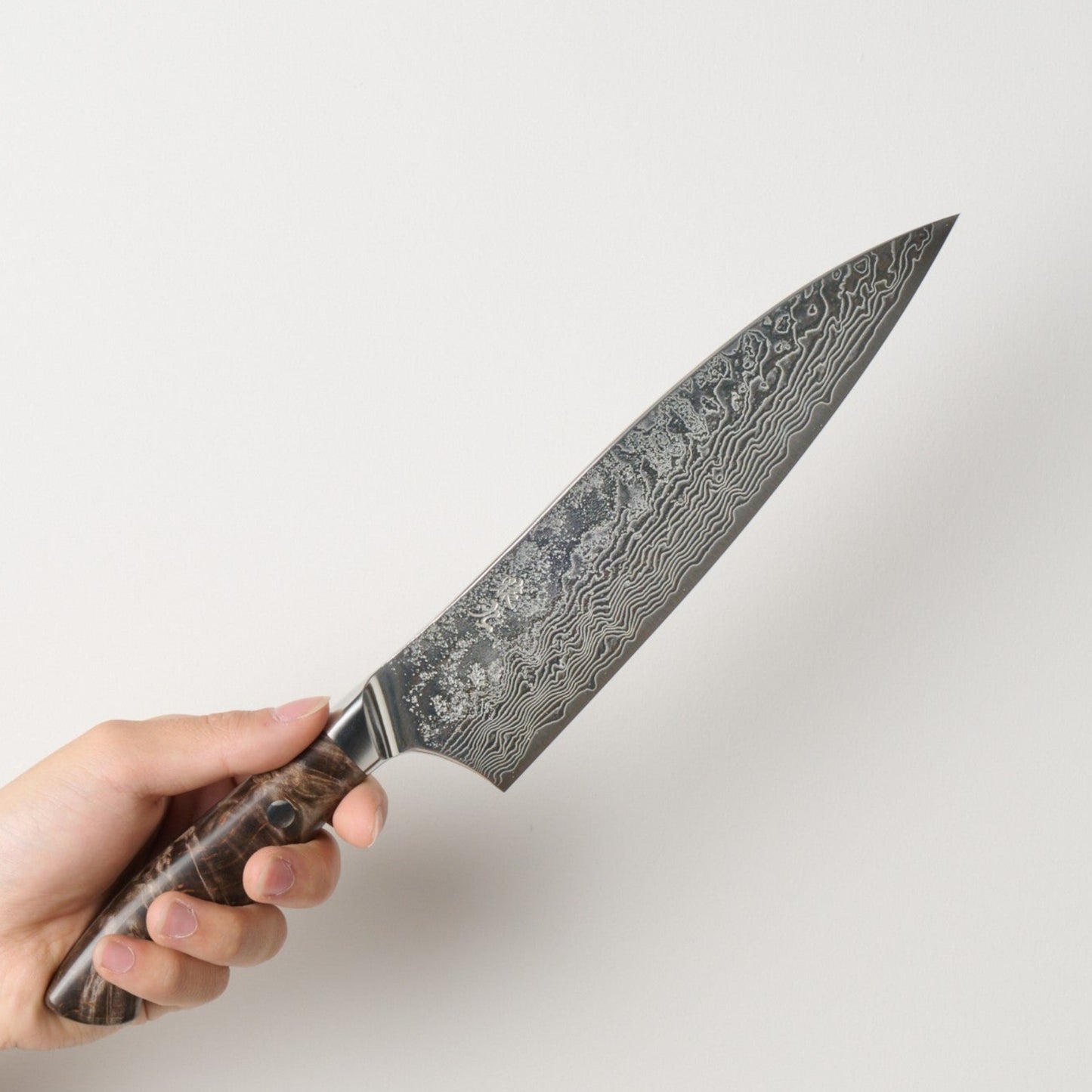 Enkyu | Atsumori | Gyuto | 210mm | Karin Knob
