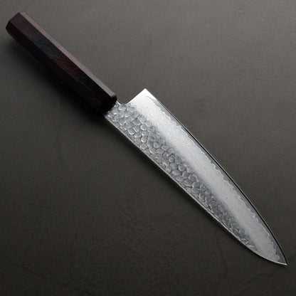 Sakai Takayuki | Nanairo | Gyuto | 210mm | Tortoiseshell