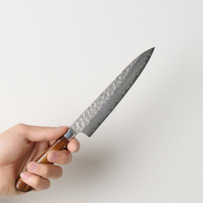 Takayuki Sakai | 33-Layer Hammered Damascus Sugihara Model | Pete Knife | 120mm | Desert Ironwood