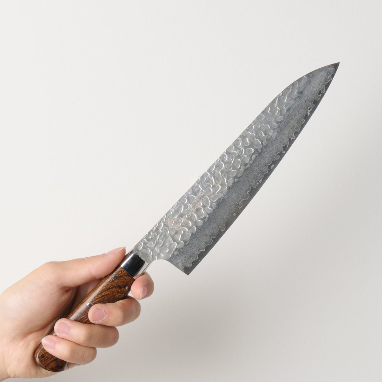 Takayuki Sakai | 33-Layer Hammered Damascus Sugihara Model | Gyuto | 240mm | Desert Ironwood
