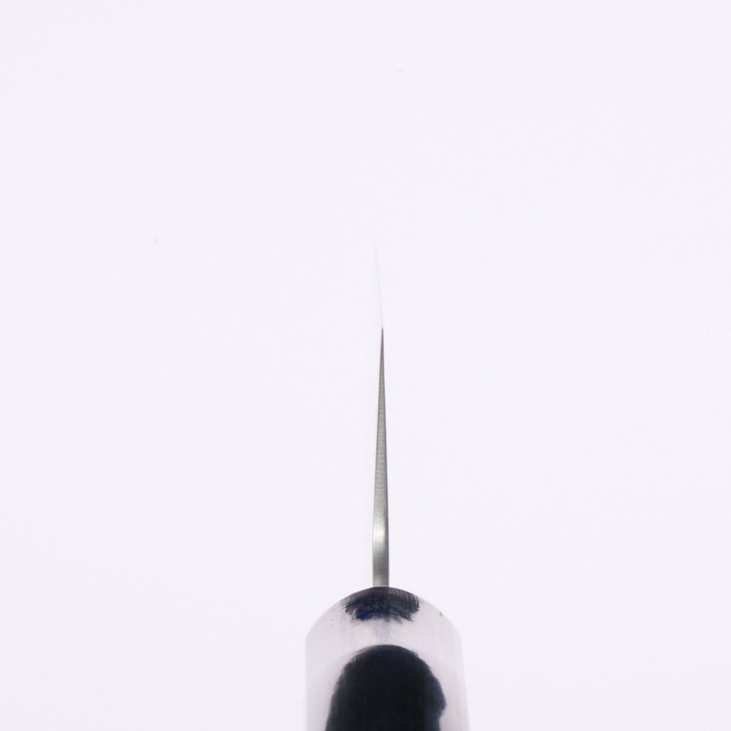 Sakai Takayuki | Sumire | Chef's knife（Gyuto） | 180mm