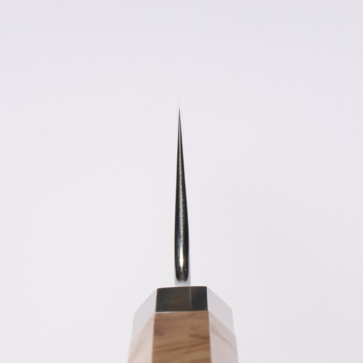 Enkyu ｜Homuragumo｜Gyuto｜210mm｜Karin-kun